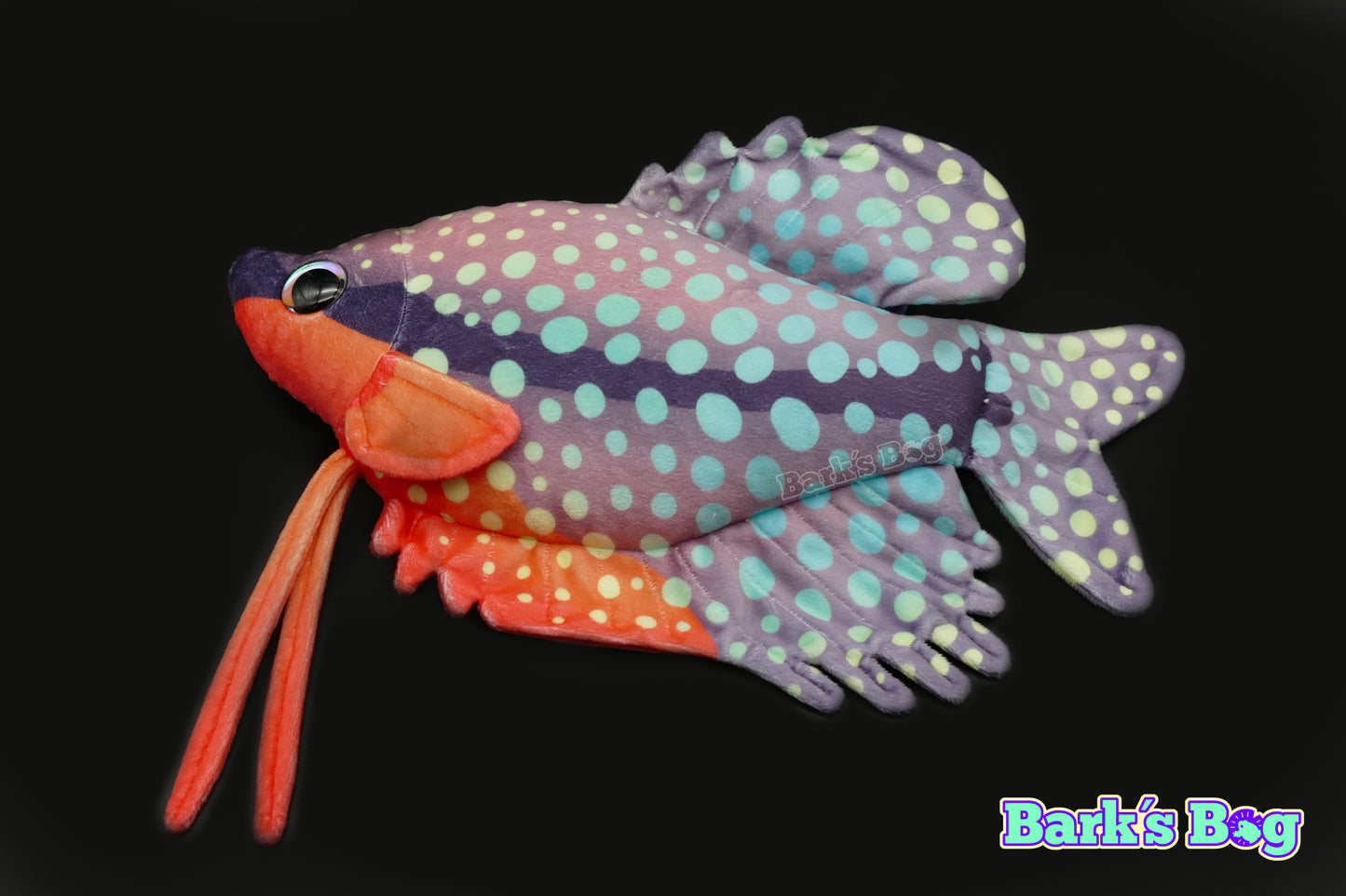 Pearl Gourami