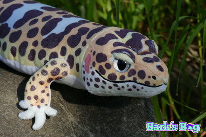Leopard Gecko "Mack Snow"