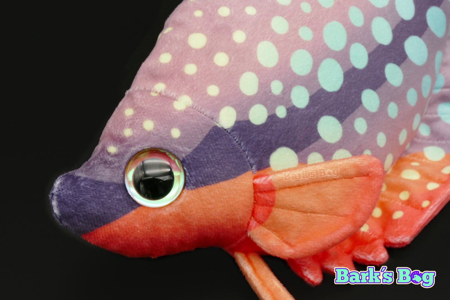 Pearl Gourami