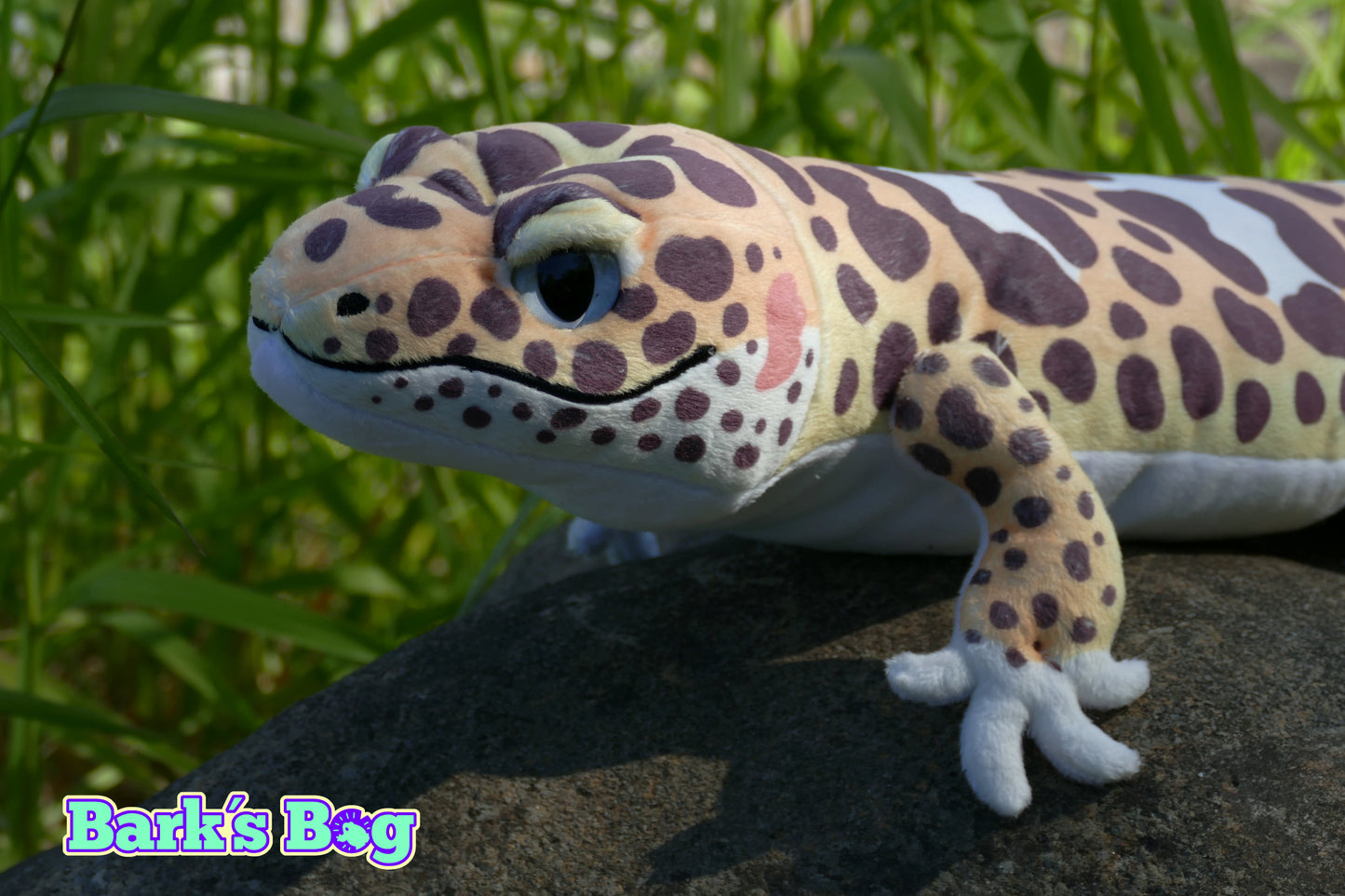 Leopard Gecko "Mack Snow"