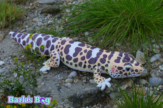 Leopard Gecko "Mack Snow"