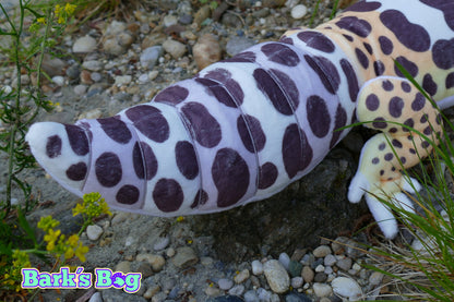 Leopard Gecko "Mack Snow"