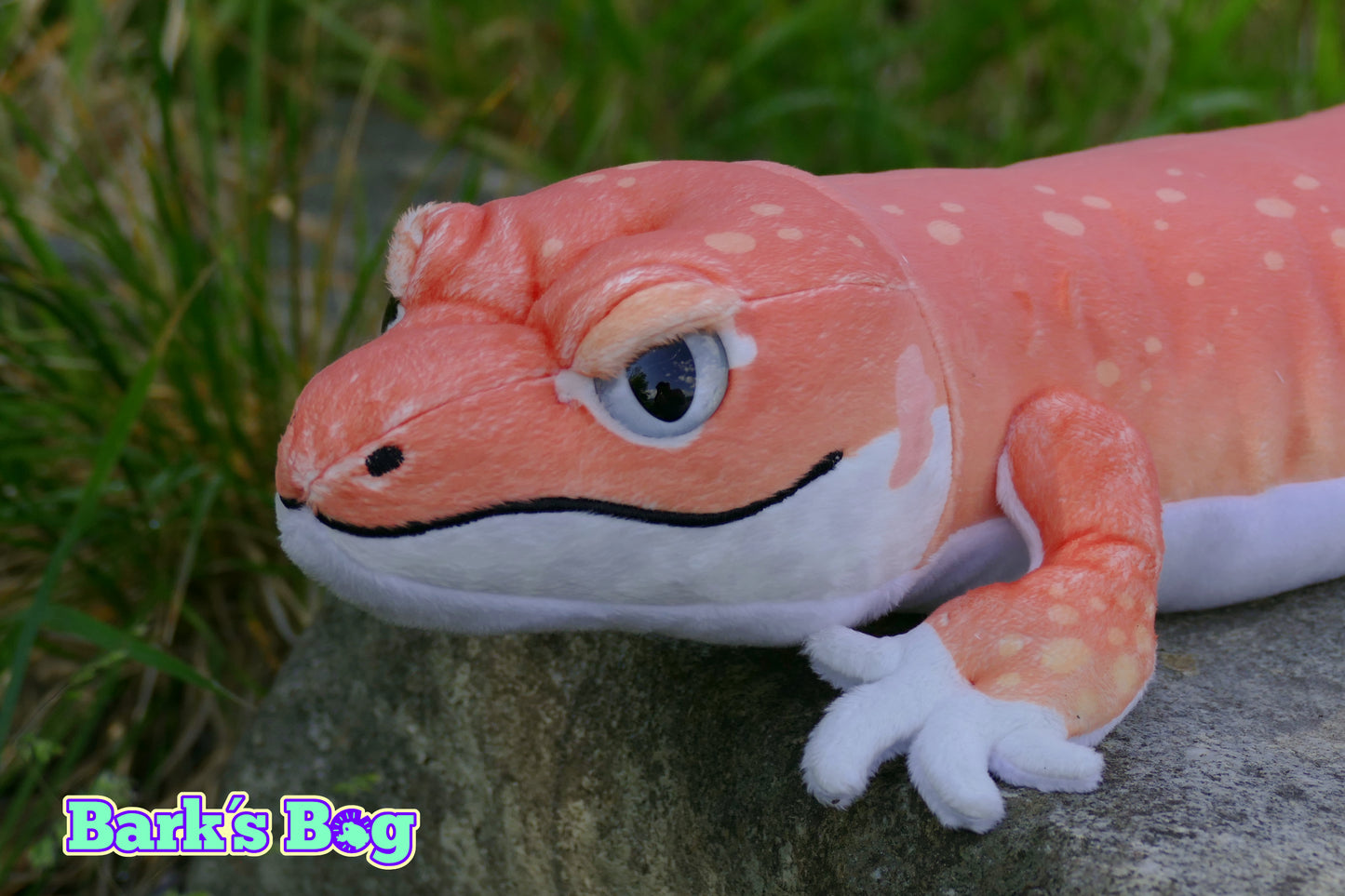 Leopard Gecko "Tangerine"