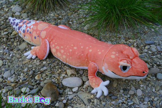 Leopard Gecko "Tangerine"