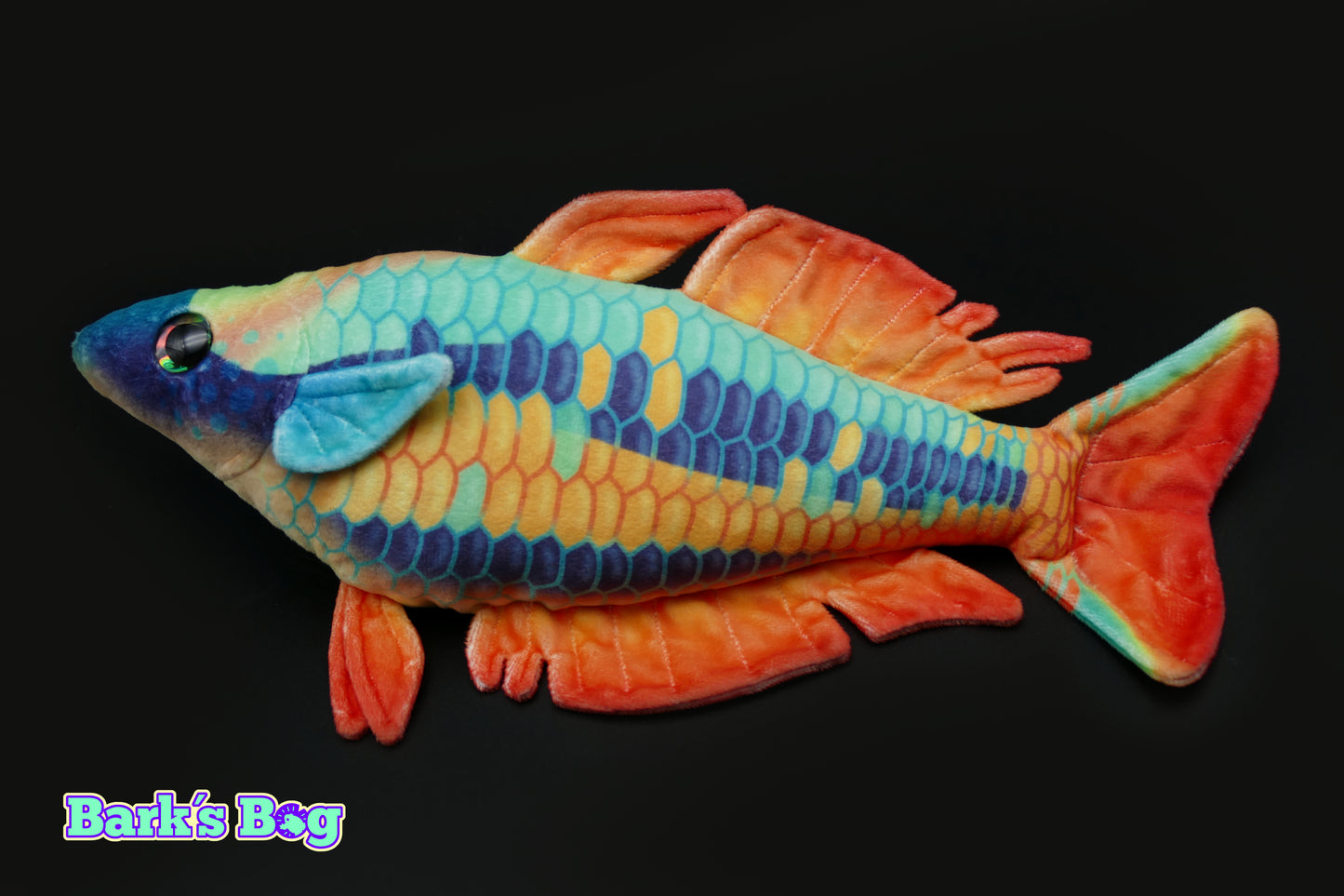 Wapoga Rainbow Fish