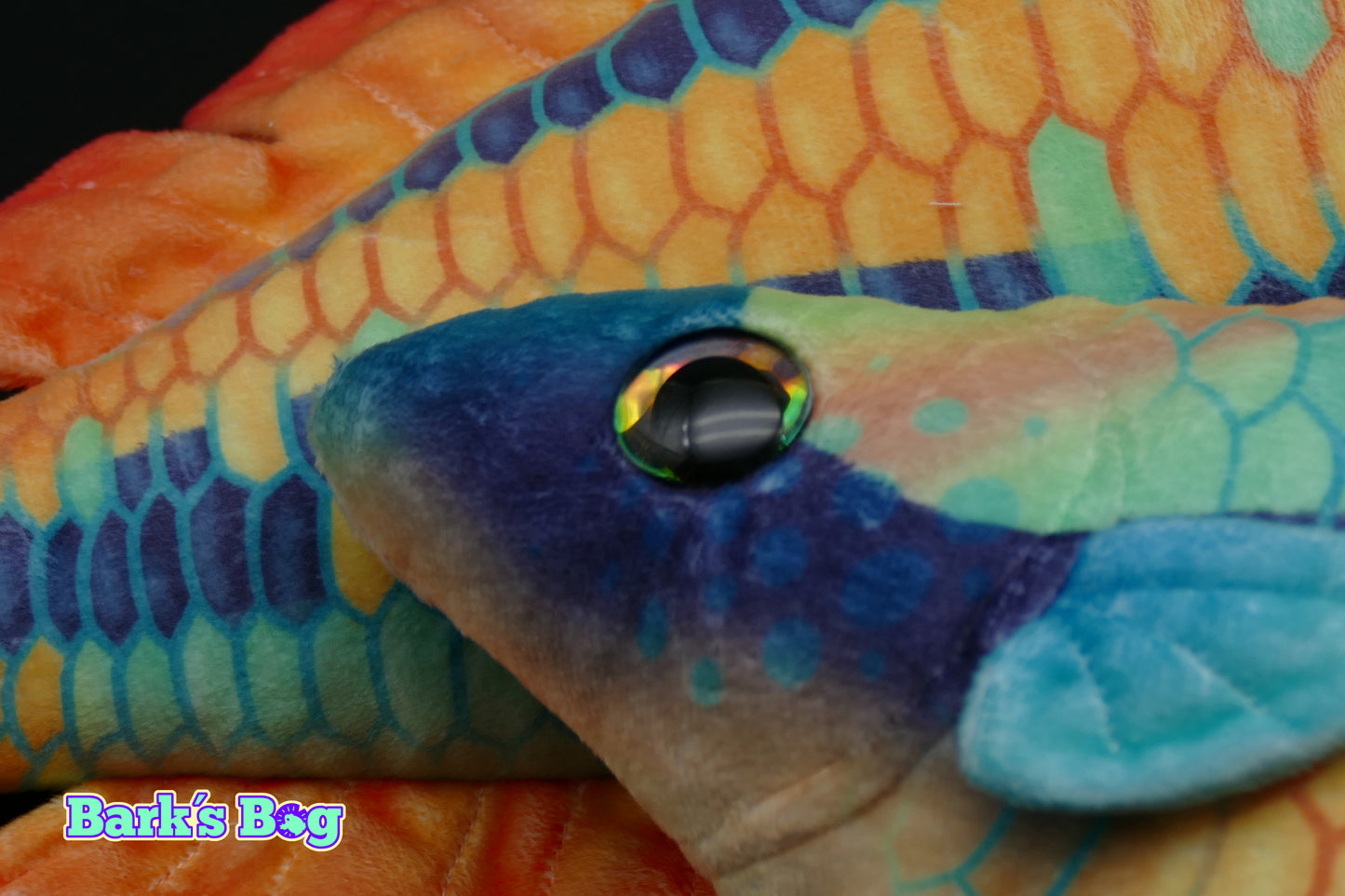 Wapoga Rainbow Fish