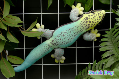 Magnetic Daygeckos